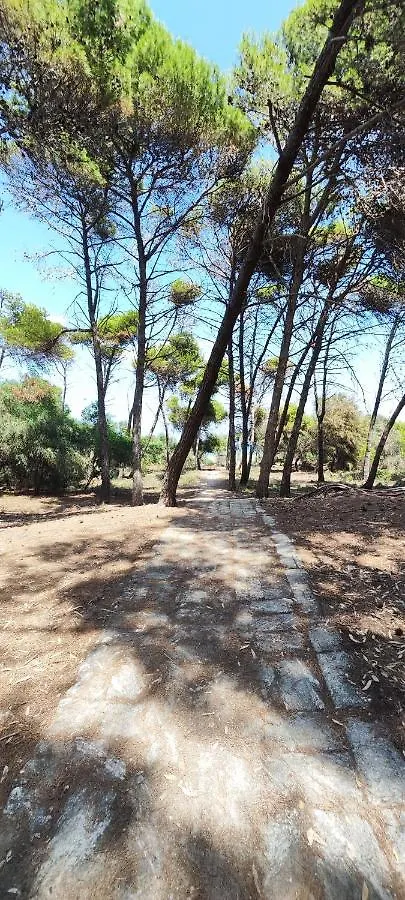 Oasis Escape Villa Vaccarizzo-Delfino Holiday home