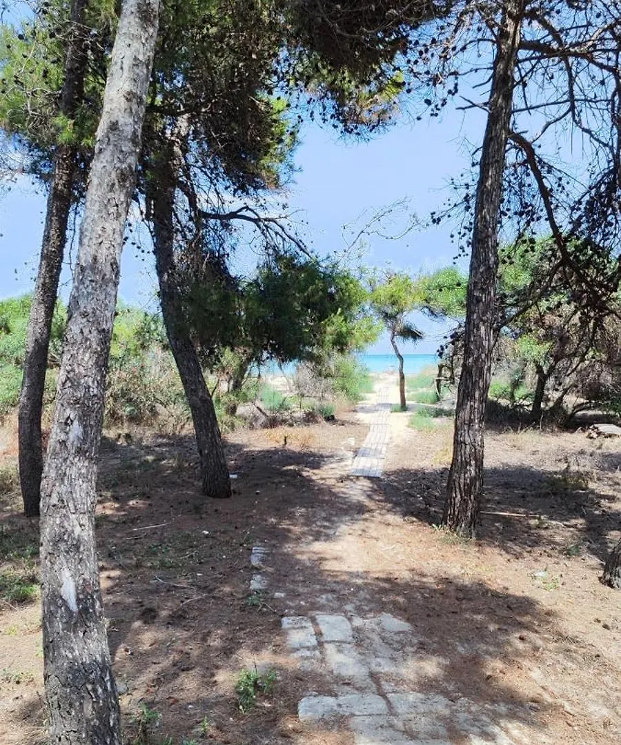 Villa Oasis Escape Vaccarizzo-Delfino Ferienhaus
